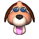 chien 