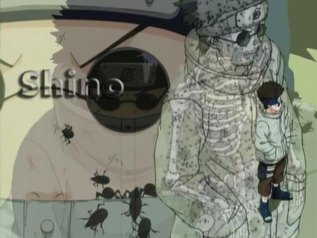 shino aburame